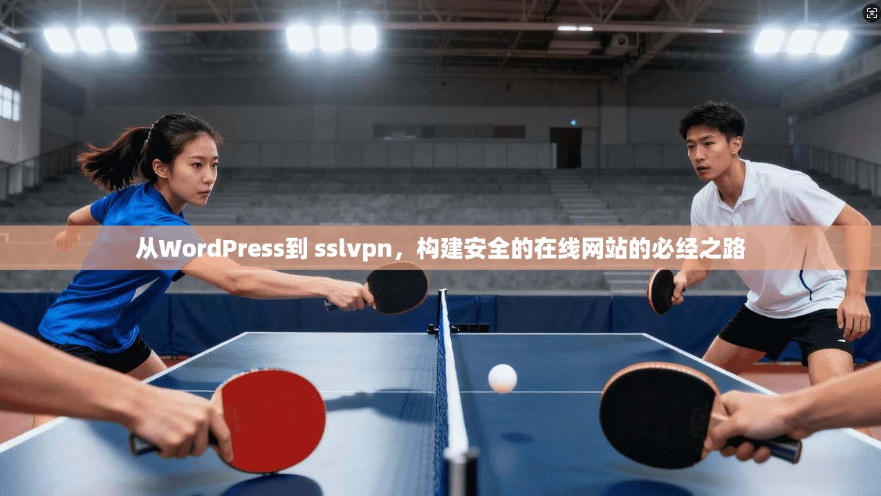 从WordPress到 sslvpn,构建安全的在线网站的必经之路