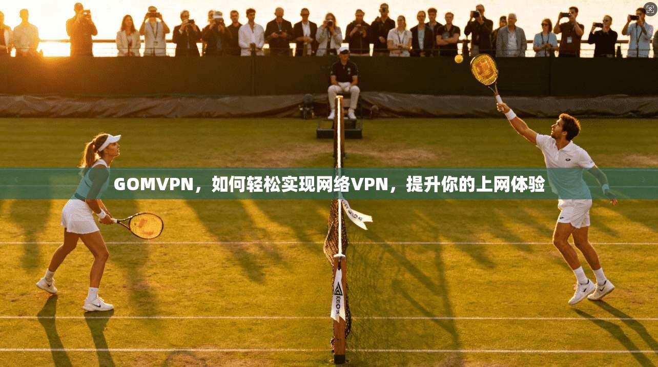 GOMVPN，如何轻松实现网络VPN，提升你的上网体验