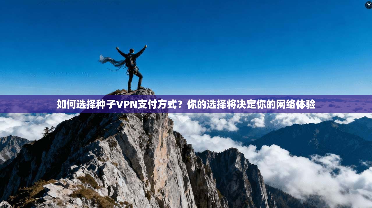 如何选择种子VPN支付方式？你的选择将决定你的网络体验