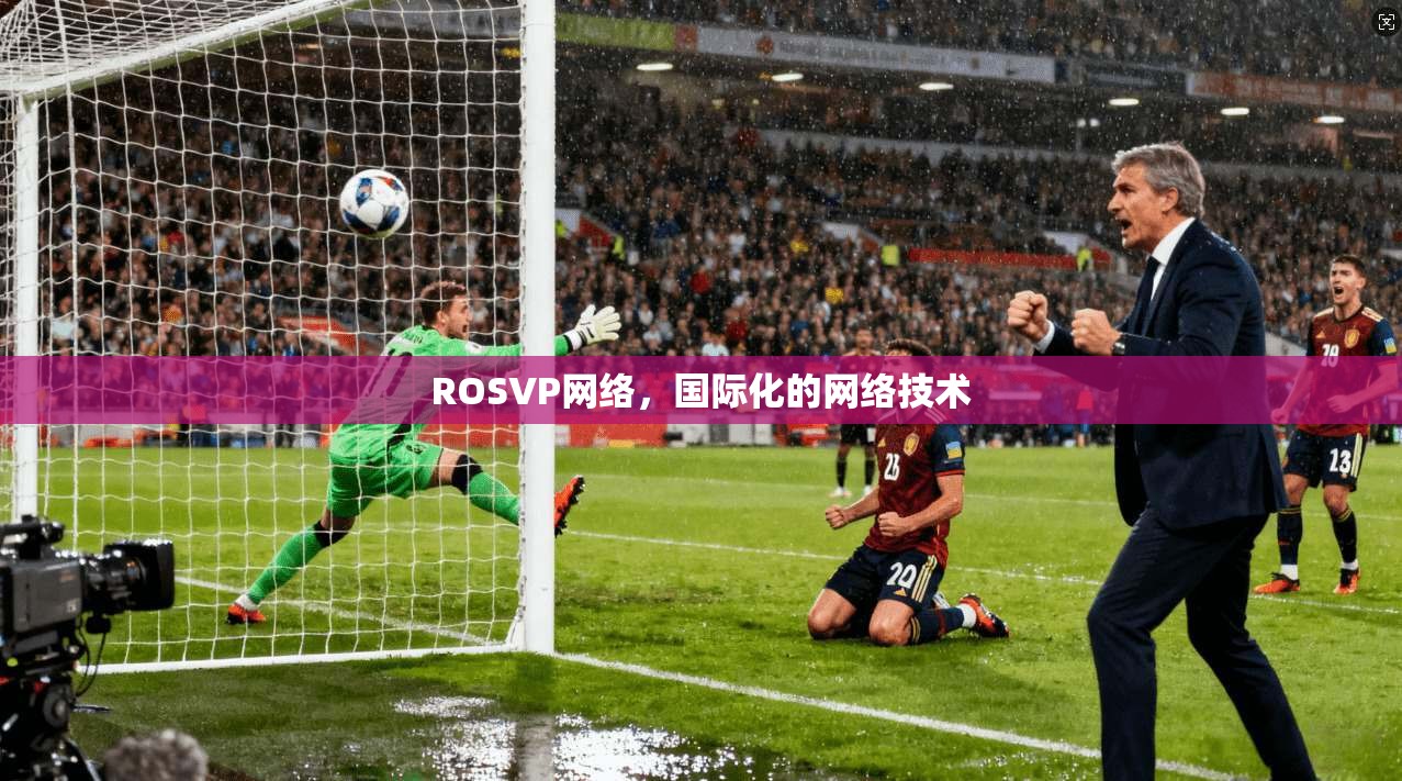 ROSVP网络，国际化的网络技术