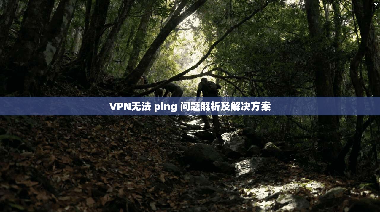 VPN无法 ping 问题解析及解决方案