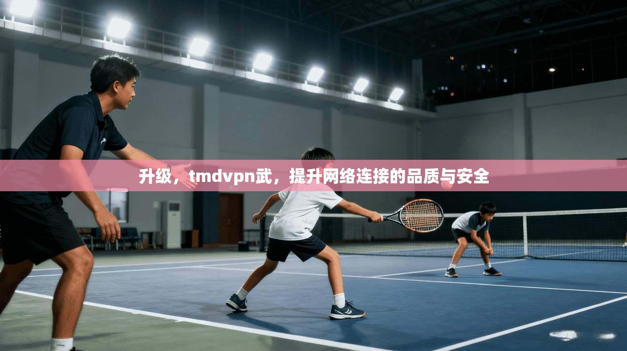 升级，tmdvpn武，提升网络连接的品质与安全