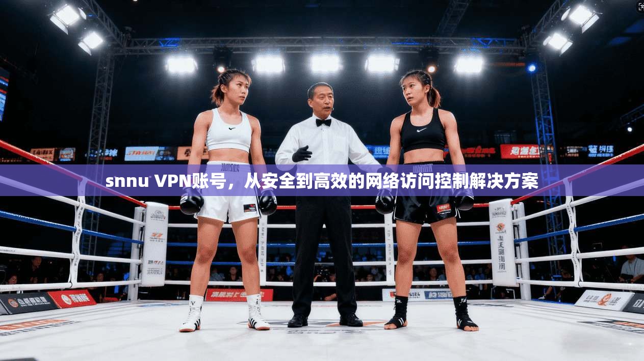 snnu VPN账号，从安全到高效的网络访问控制解决方案