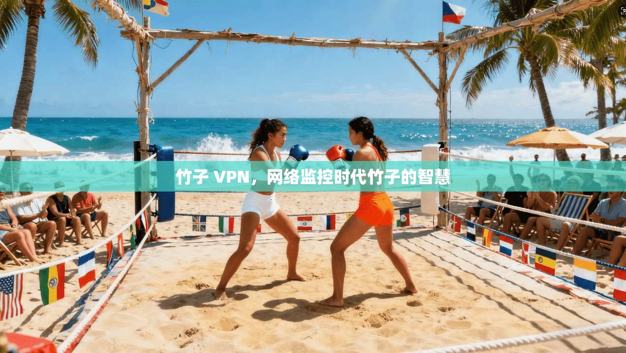 竹子 VPN，网络监控时代竹子的智慧
