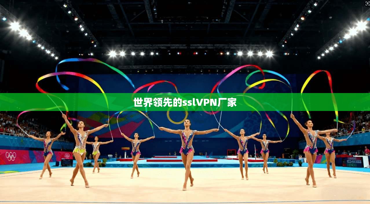 世界领先的sslVPN厂家