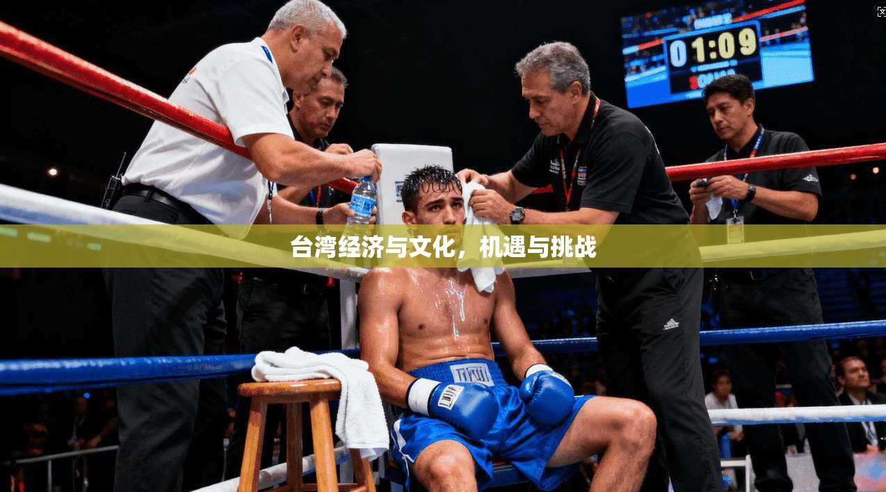 台湾经济与文化,机遇与挑战