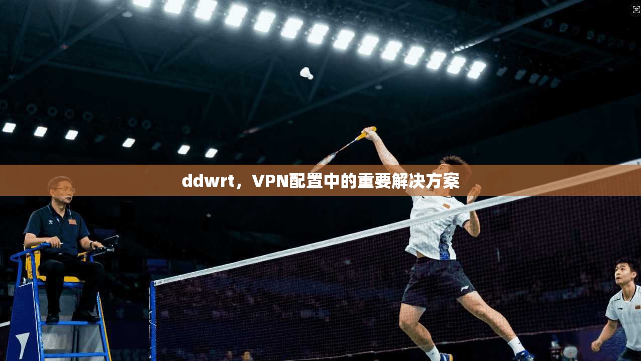 ddwrt，VPN配置中的重要解决方案