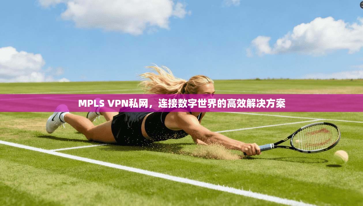 MPLS VPN私网，连接数字世界的高效解决方案