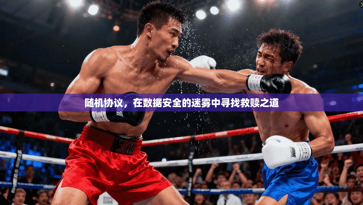 随机协议，在数据安全的迷雾中寻找救赎之道