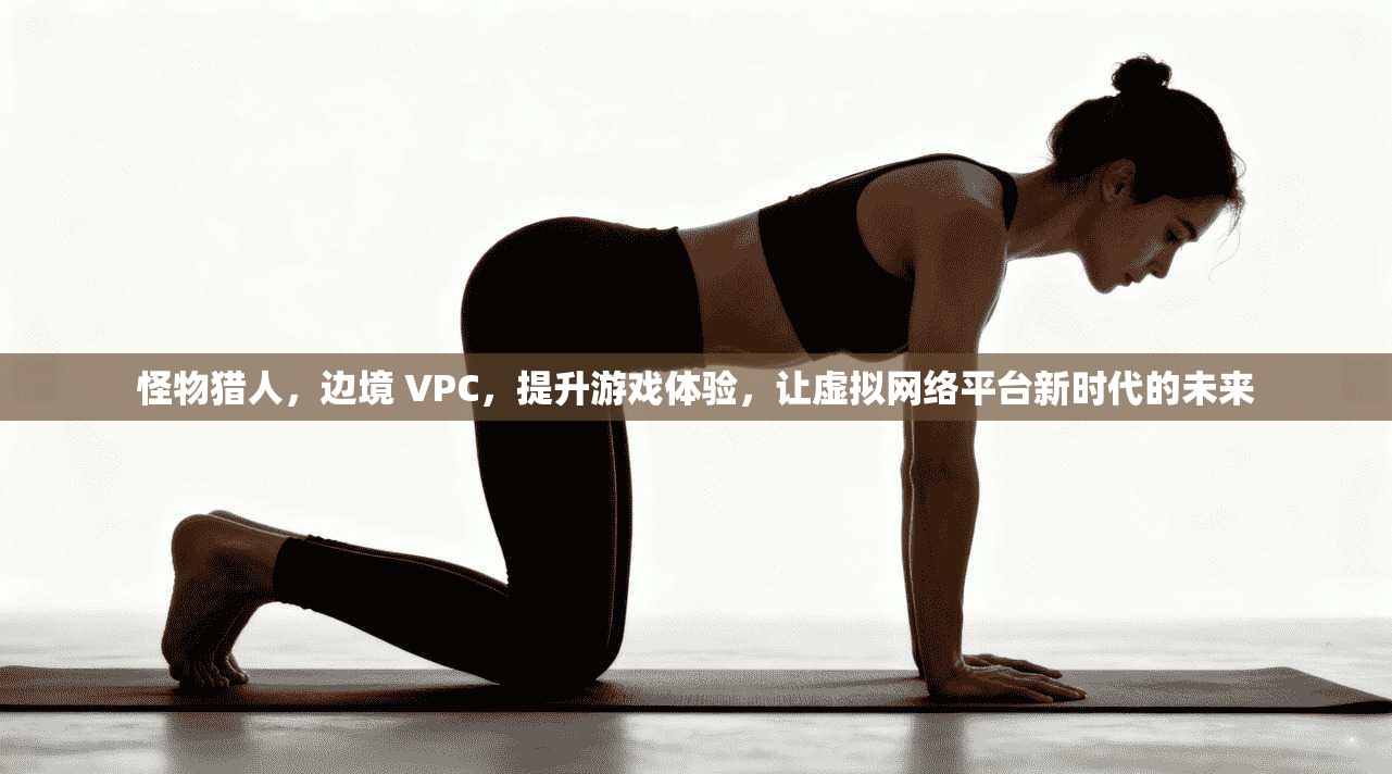 怪物猎人，边境 VPC，提升游戏体验，让虚拟网络平台新时代的未来