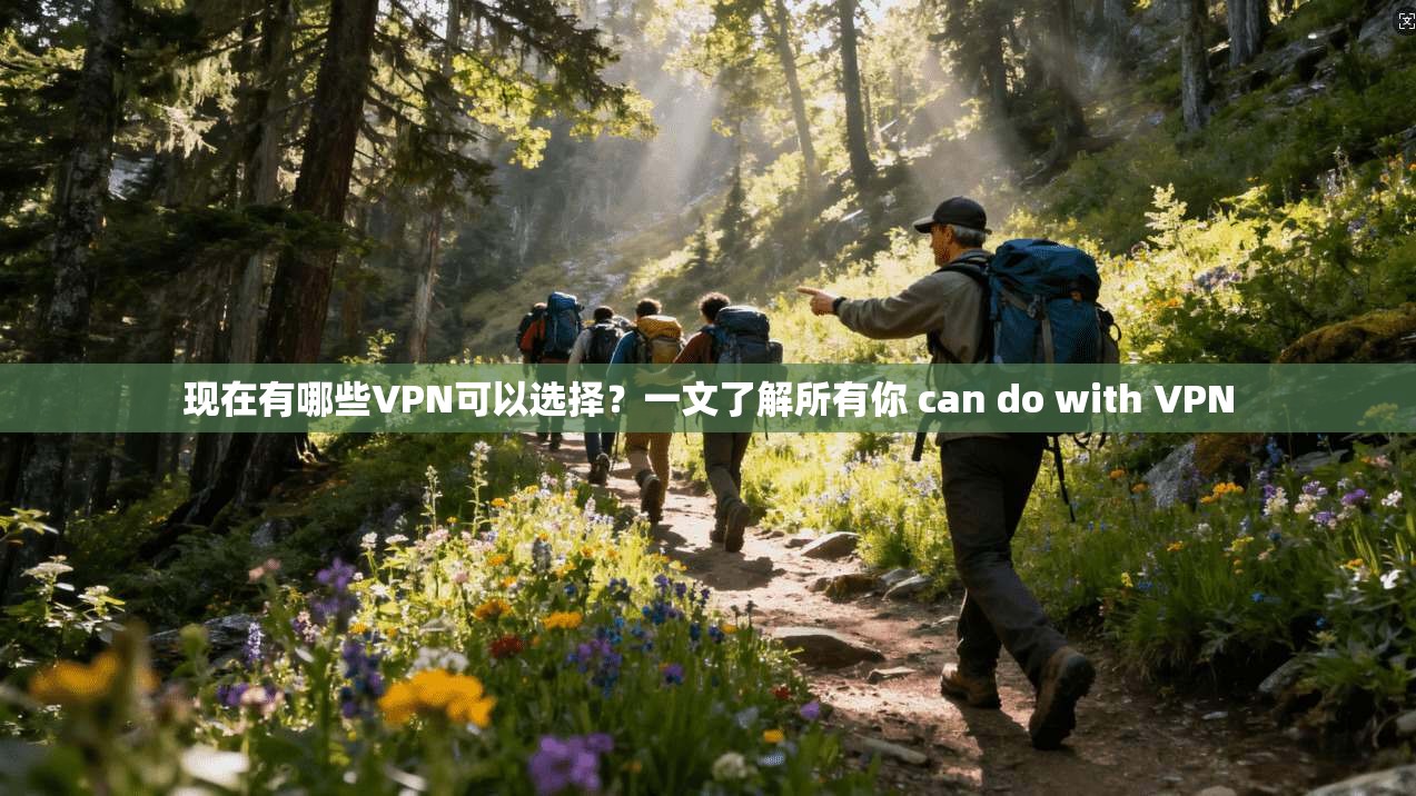 现在有哪些VPN可以选择？一文了解所有你 can do with VPN