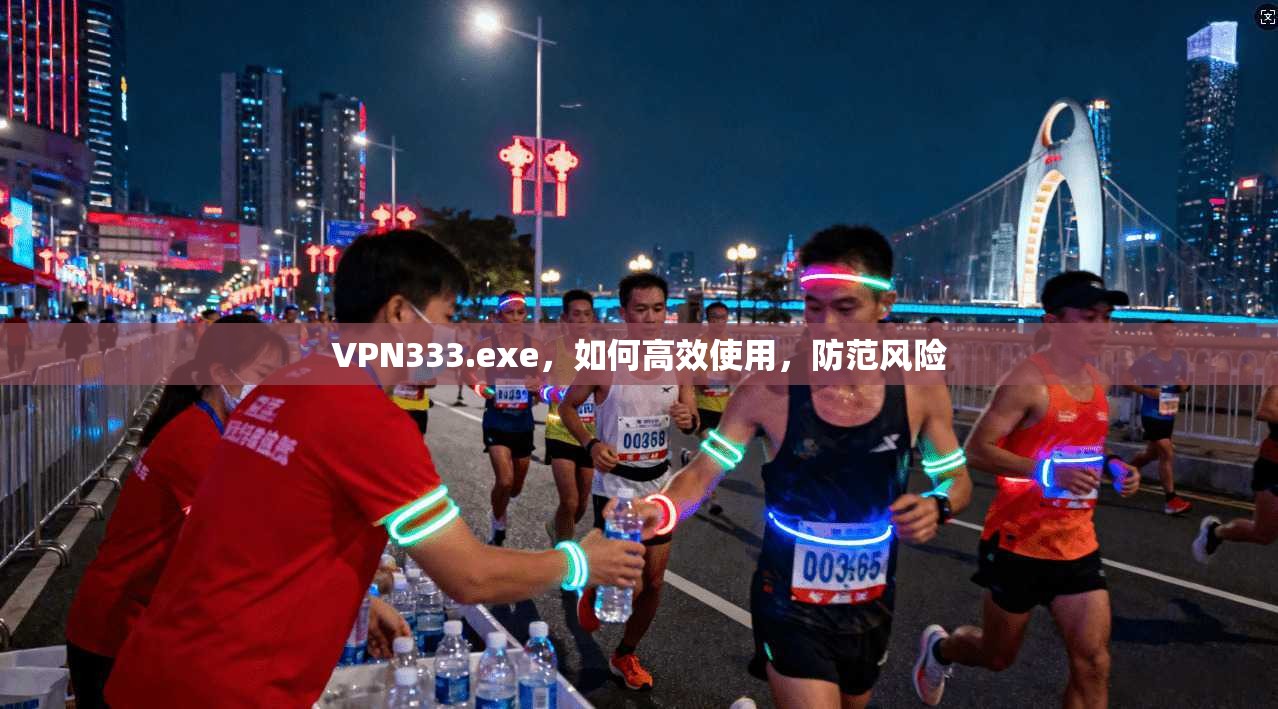 VPN333.exe，如何高效使用，防范风险