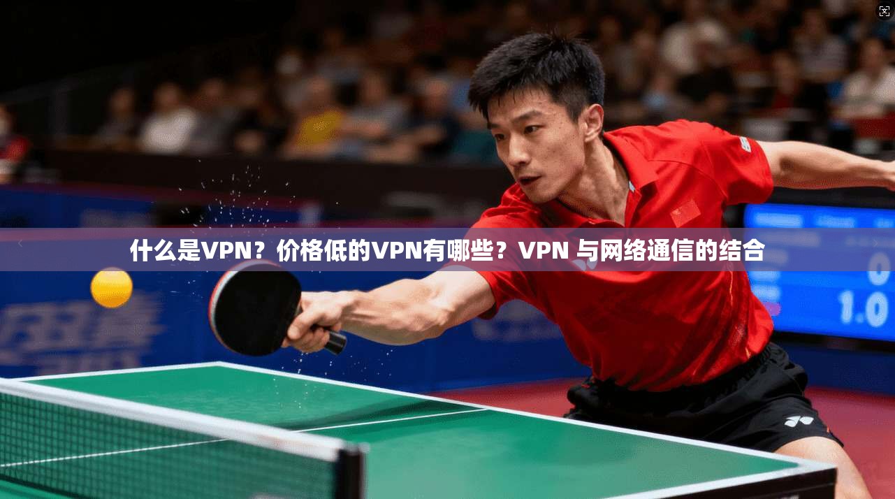 什么是VPN？价格低的VPN有哪些？VPN 与网络通信的结合