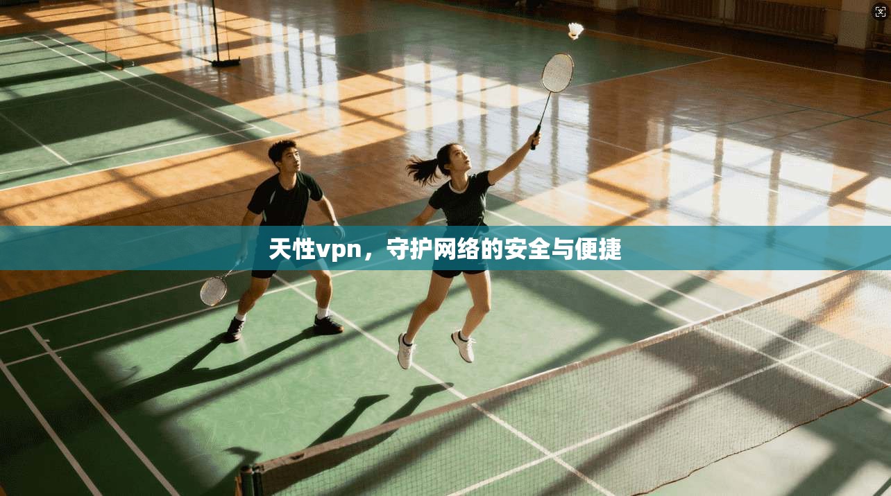 天性vpn，守护网络的安全与便捷