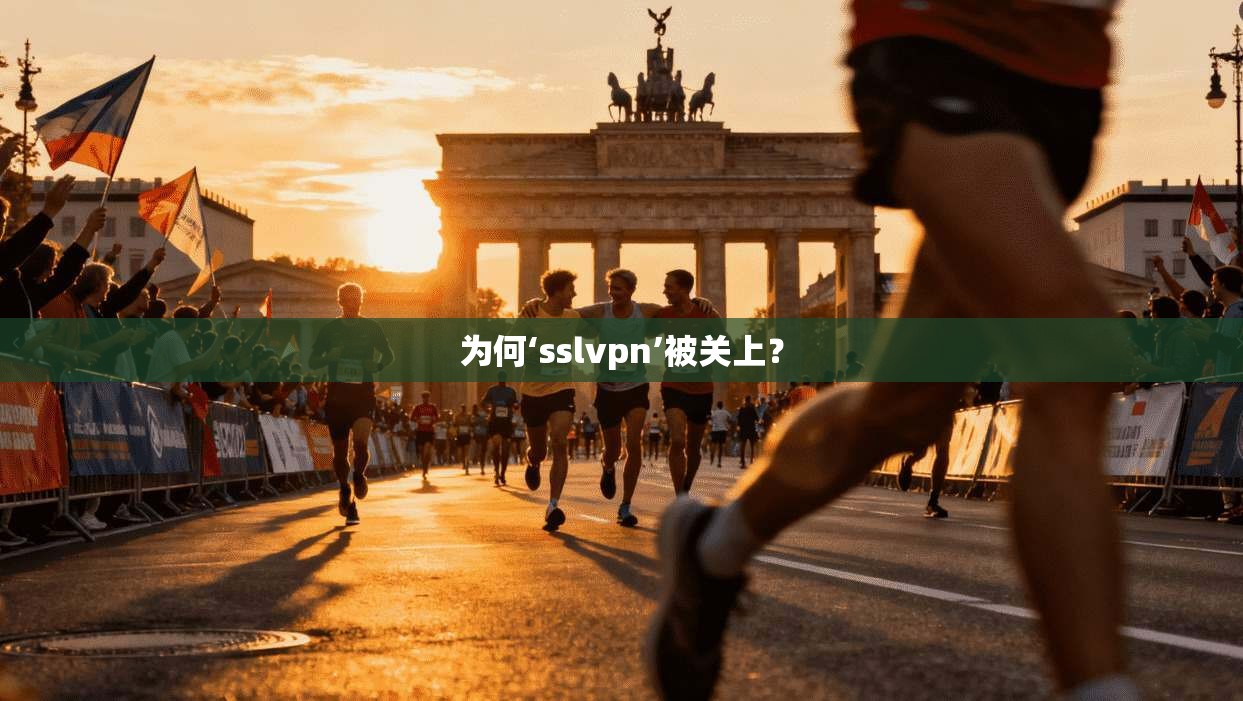 为何‘sslvpn’被关上？