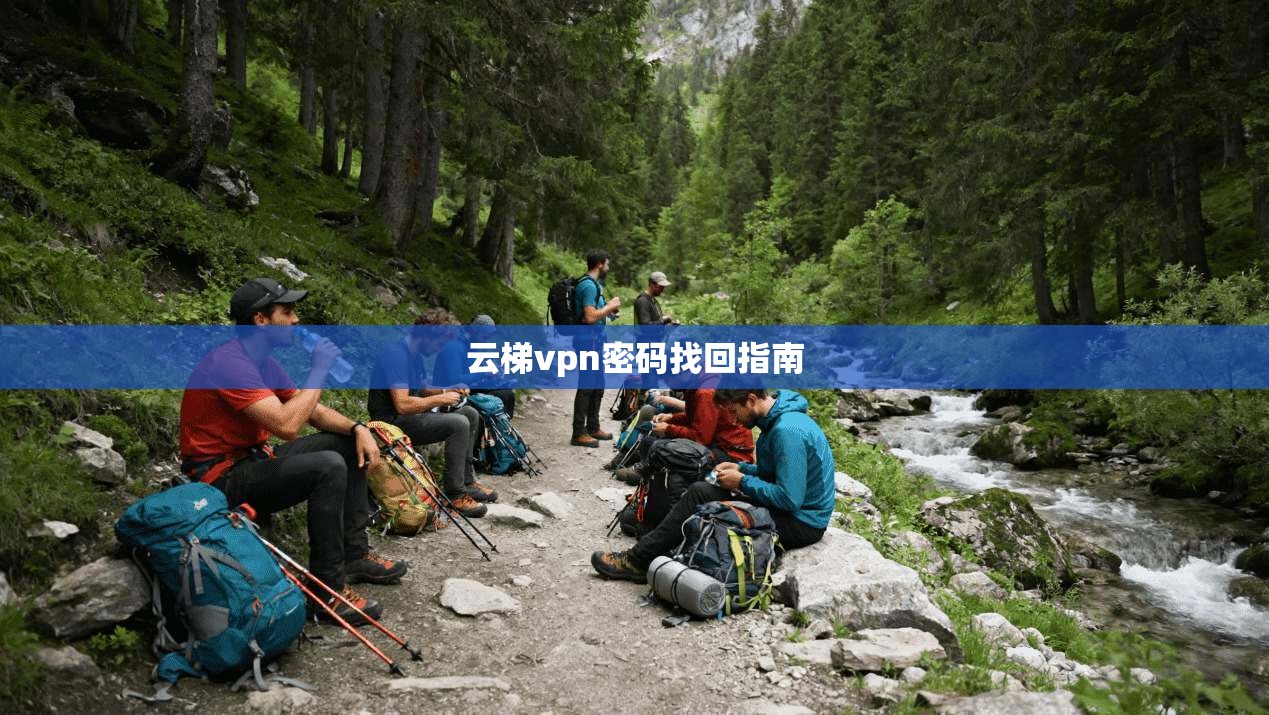 云梯vpn密码找回指南
