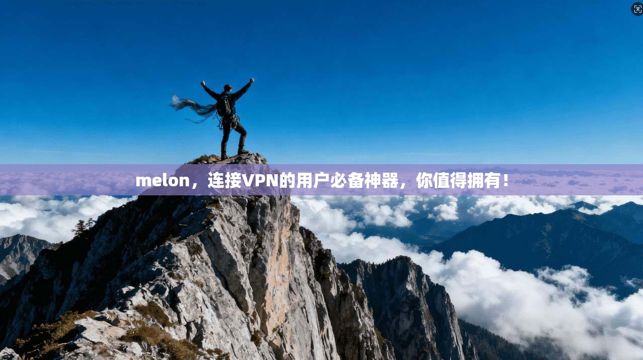 melon，连接VPN的用户必备神器，你值得拥有！