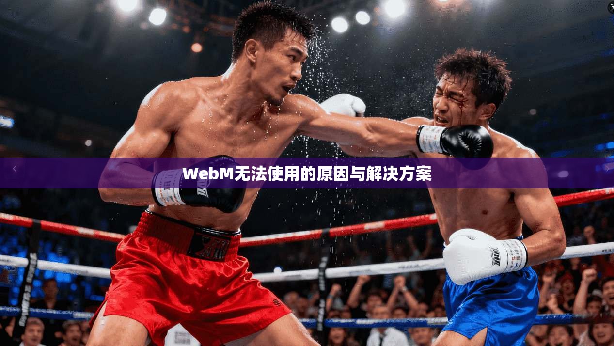 WebM无法使用的原因与解决方案