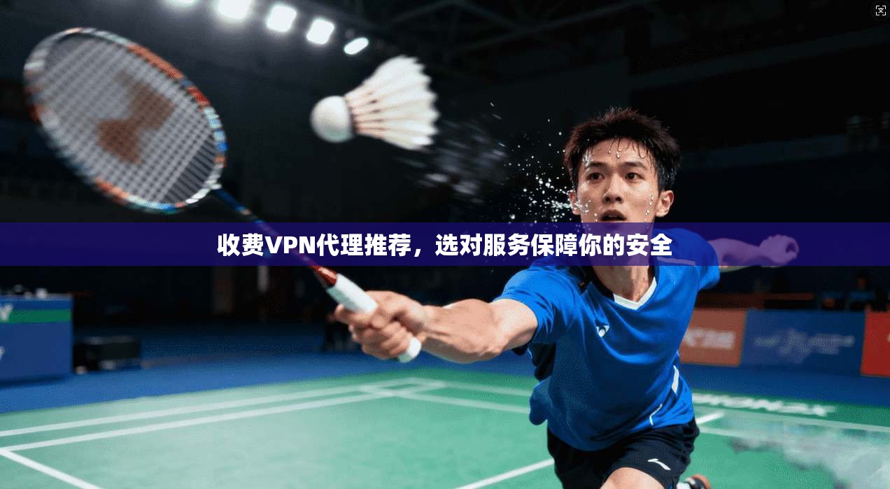 收费VPN代理推荐,选对服务保障你的安全