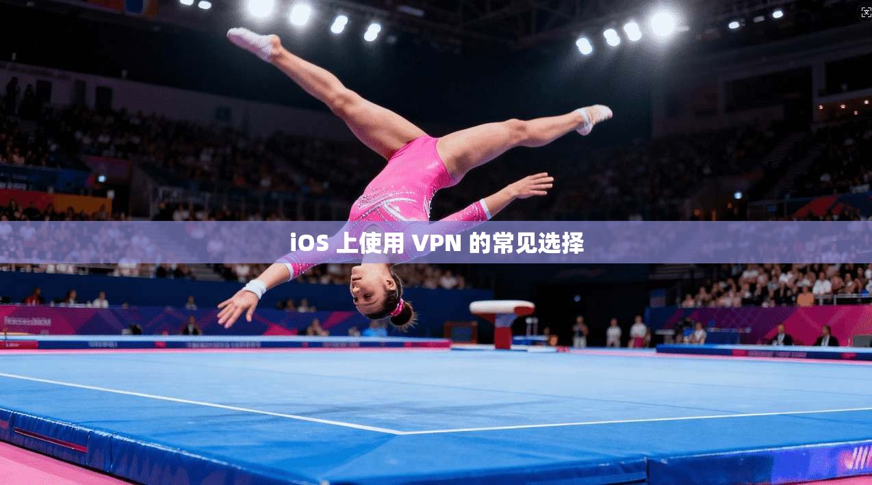 iOS 上使用 VPN 的常见选择