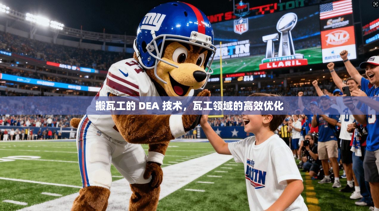 搬瓦工的 DEA 技术,瓦工领域的高效优化