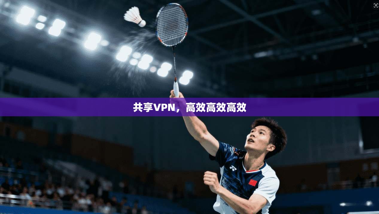共享VPN，高效高效高效