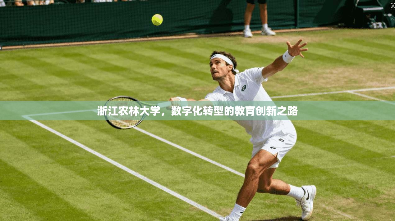 浙江农林大学，数字化转型的教育创新之路