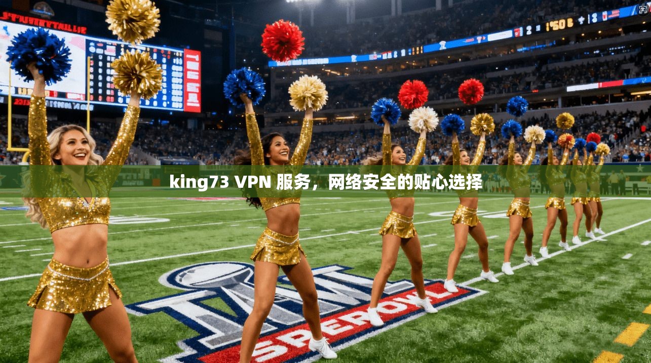 king73 VPN 服务，网络安全的贴心选择