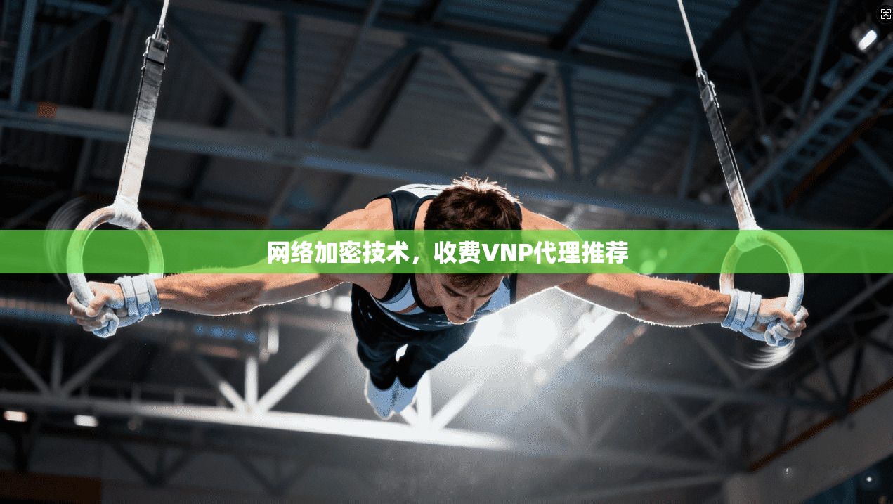网络加密技术，收费VNP代理推荐