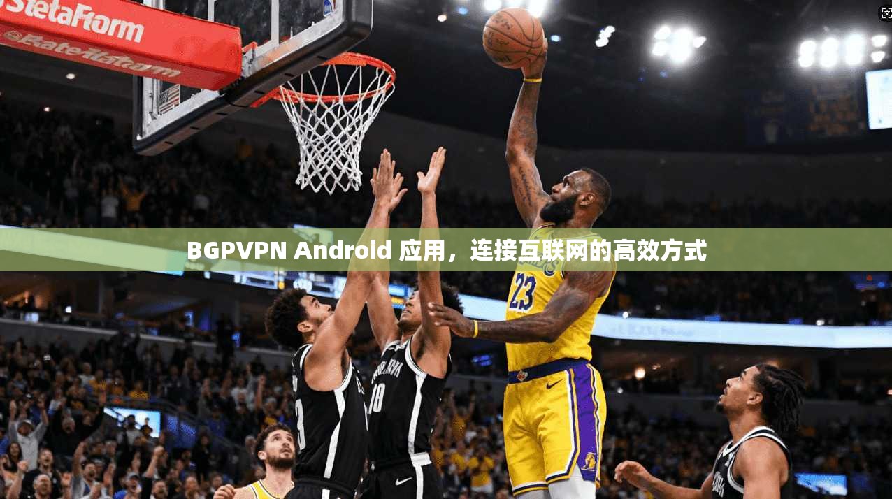 BGPVPN Android 应用，连接互联网的高效方式
