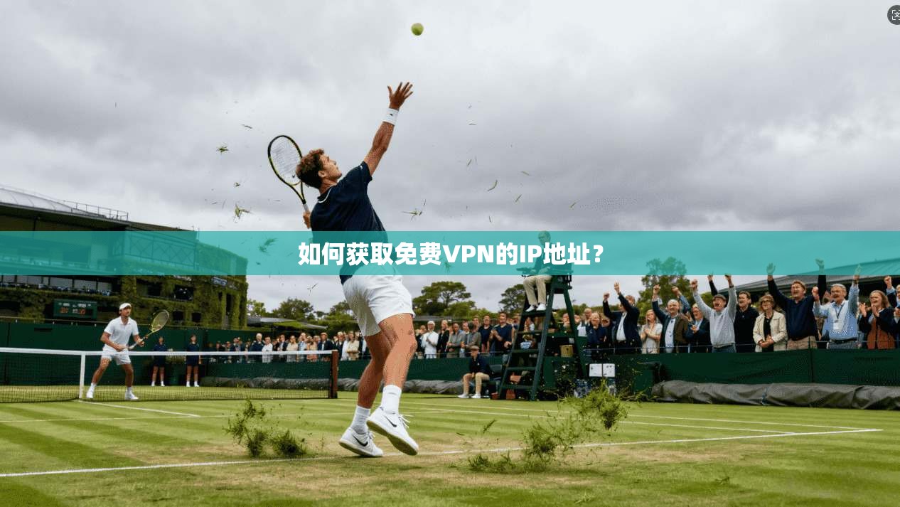 如何获取免费VPN的IP地址？