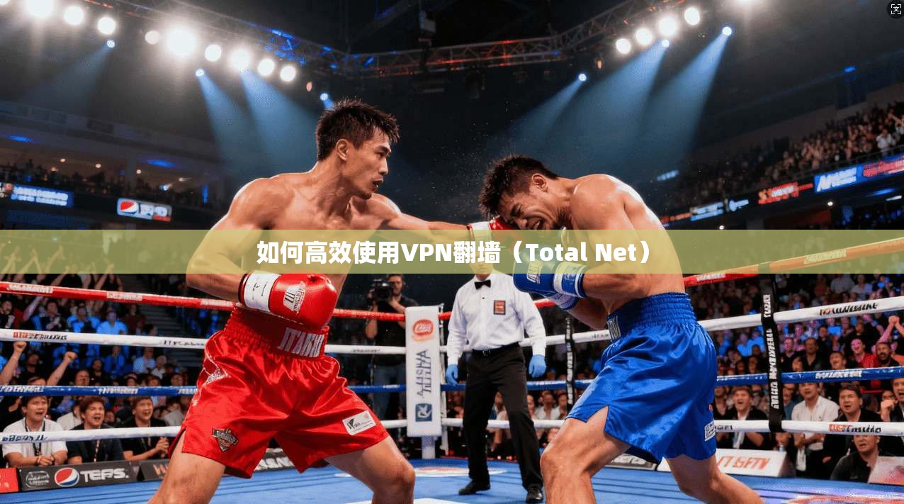 如何高效使用VPN翻墙（Total Net）