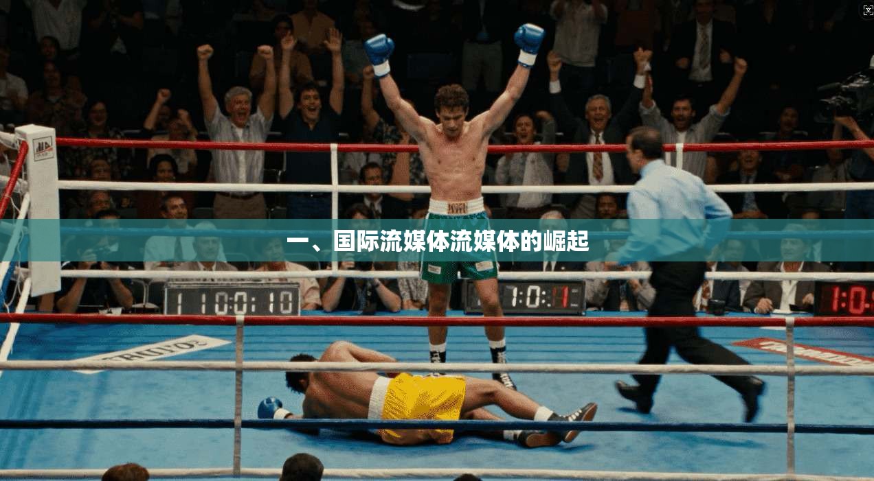 一、国际流媒体流媒体的崛起