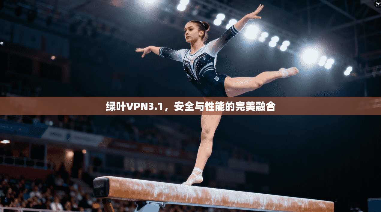 绿叶VPN3.1，安全与性能的完美融合