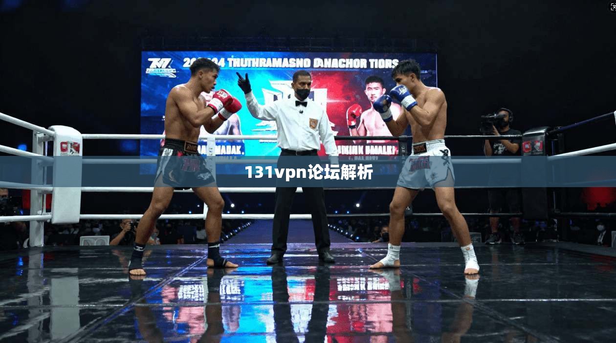 131vpn论坛解析
