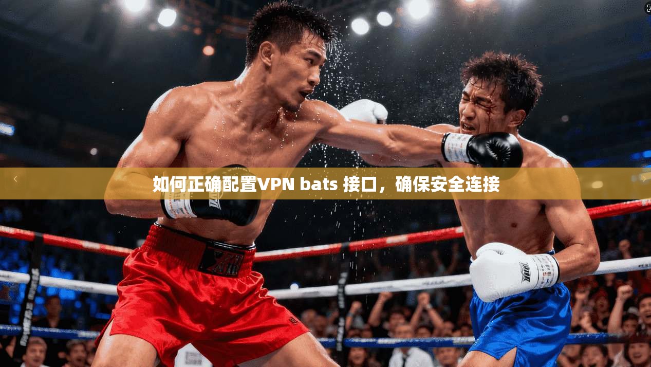 如何正确配置VPN bats 接口，确保安全连接
