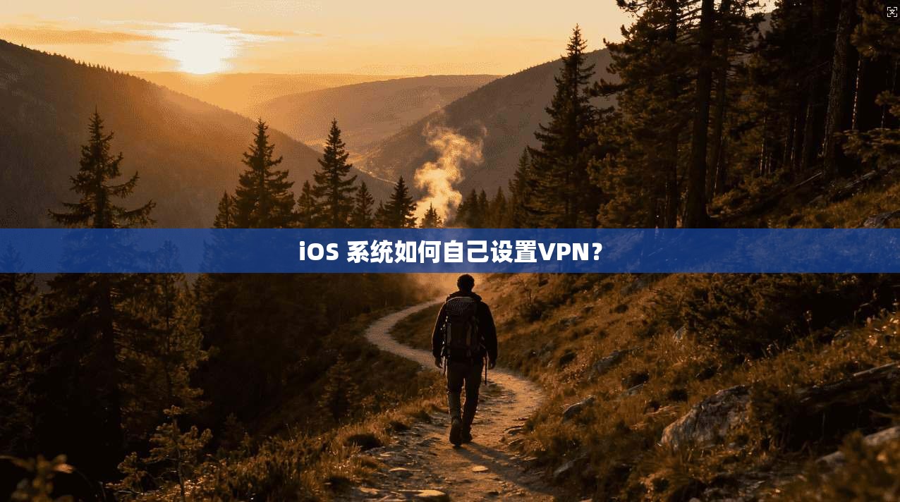 iOS 系统如何自己设置VPN?