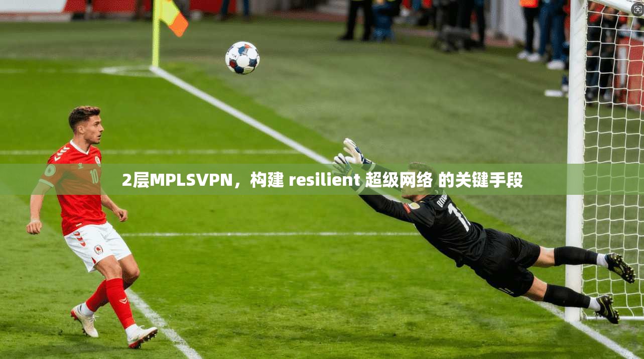 2层MPLSVPN，构建 resilient 超级网络 的关键手段