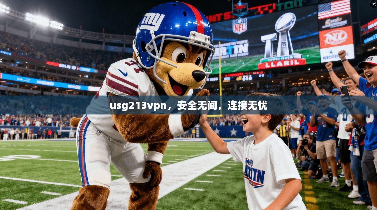 usg213vpn，安全无间，连接无忧