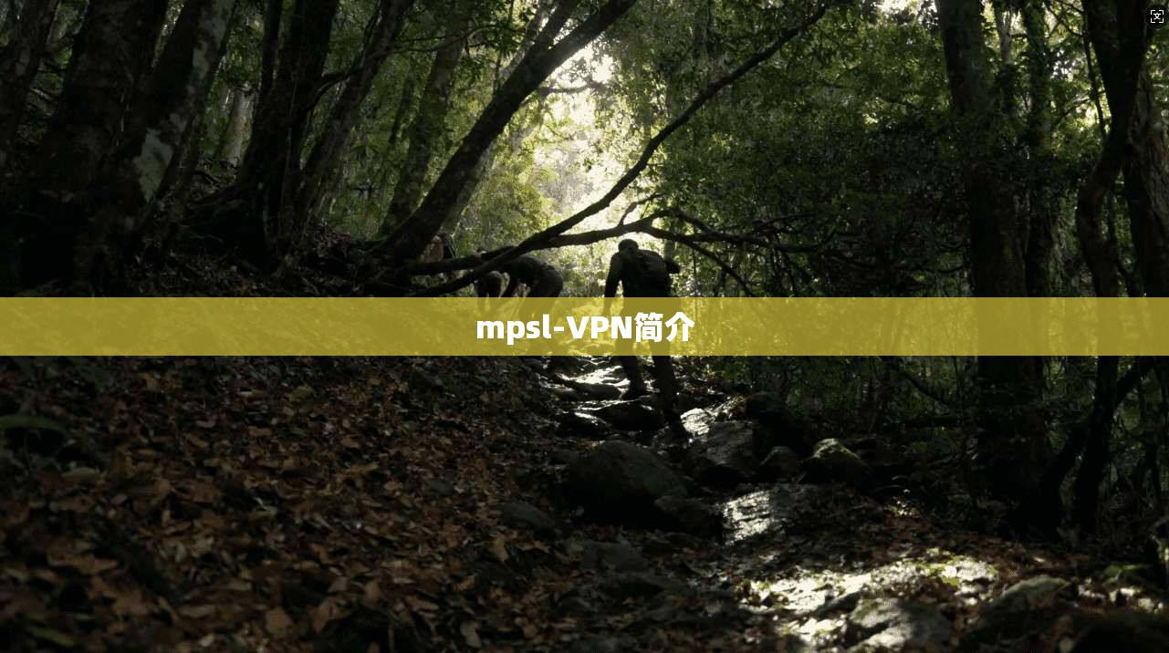 mpsl-VPN简介
