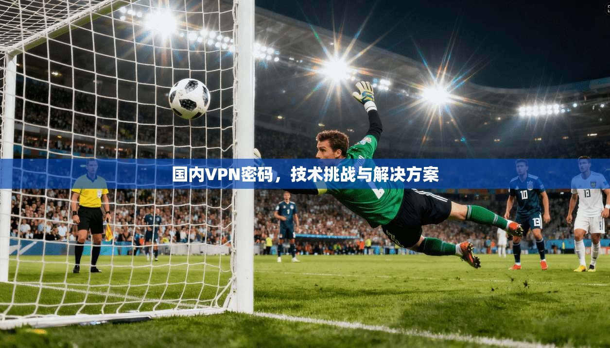 国内VPN密码，技术挑战与解决方案