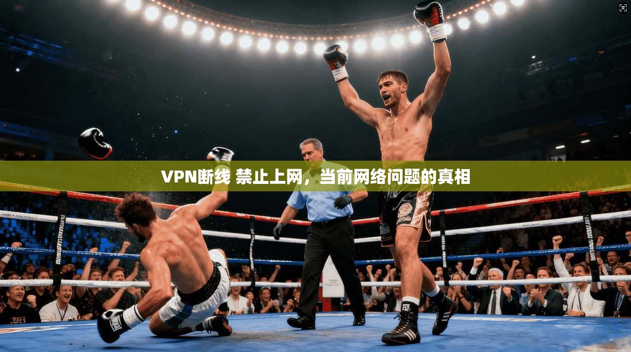 VPN断线 禁止上网，当前网络问题的真相