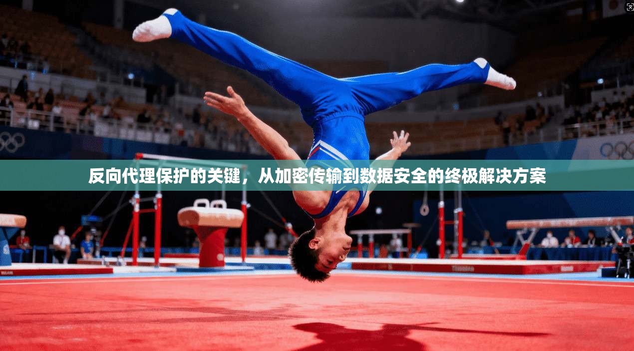 反向代理保护的关键，从加密传输到数据安全的终极解决方案
