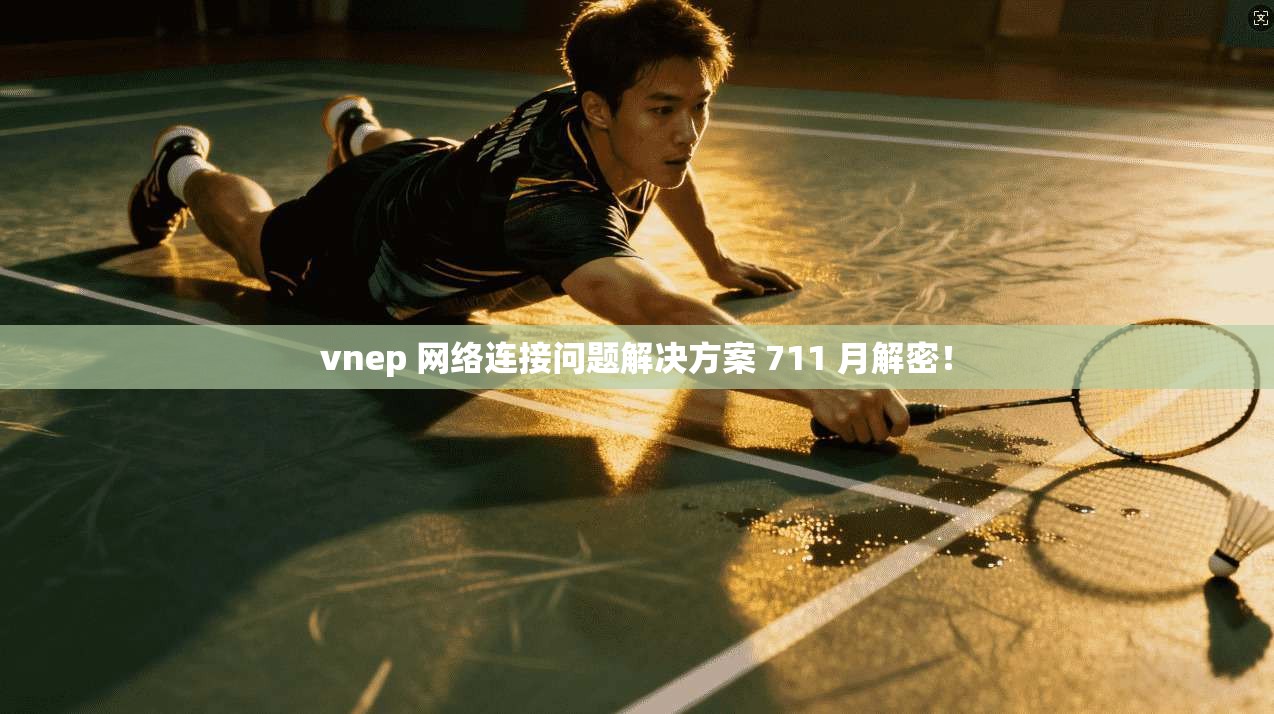 vnep 网络连接问题解决方案 711 月解密！