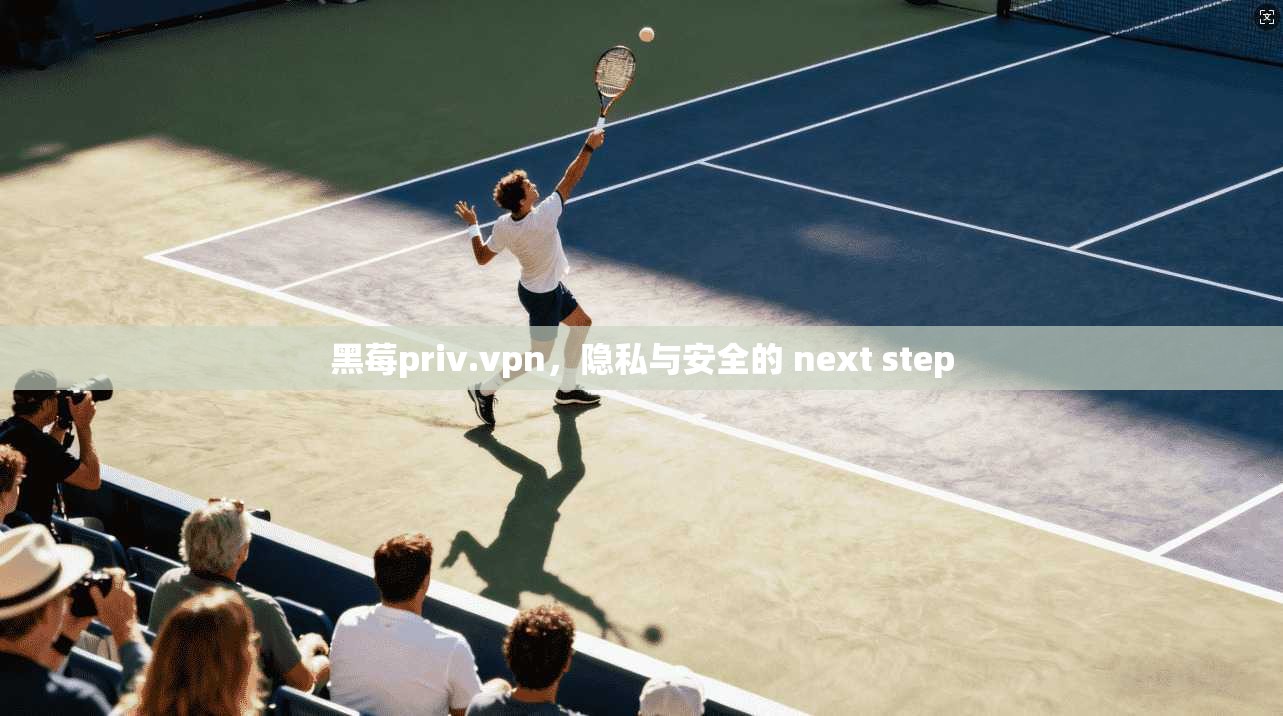黑莓priv.vpn，隐私与安全的 next step