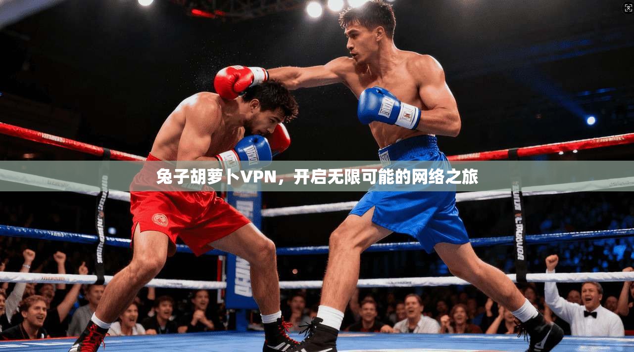 兔子胡萝卜VPN，开启无限可能的网络之旅