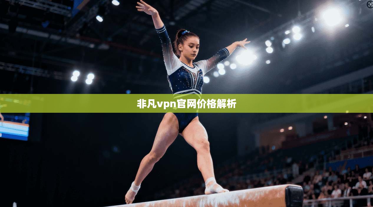 非凡vpn官网价格解析