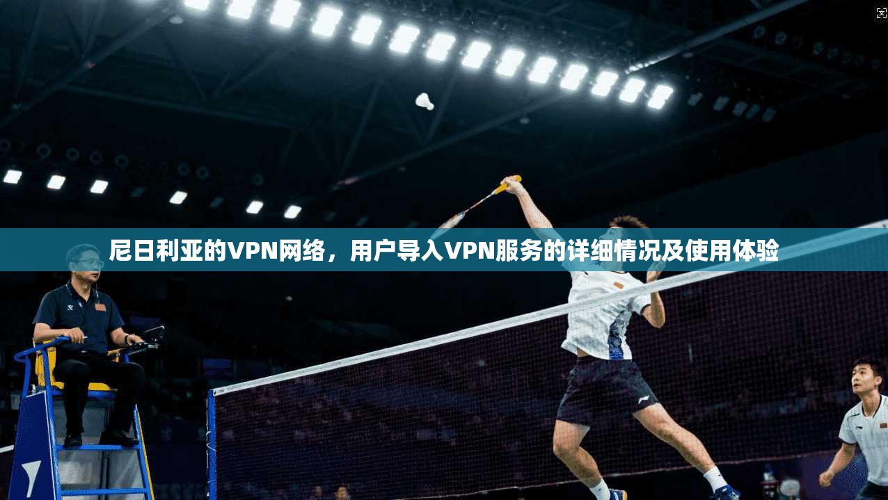 尼日利亚的VPN网络，用户导入VPN服务的详细情况及使用体验
