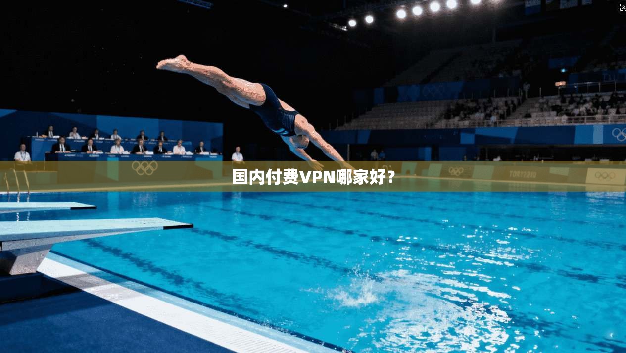 国内付费VPN哪家好？
