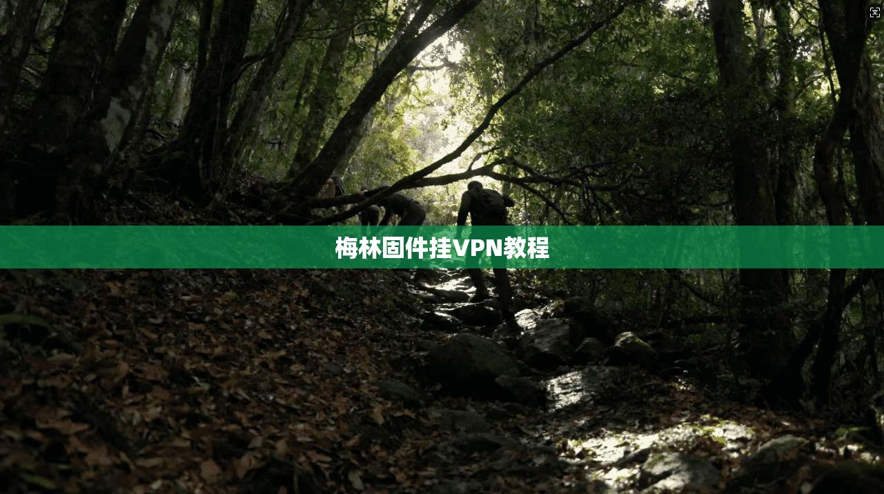 梅林固件挂VPN教程  第1张